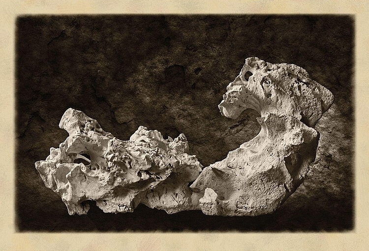 H0046-L16413325