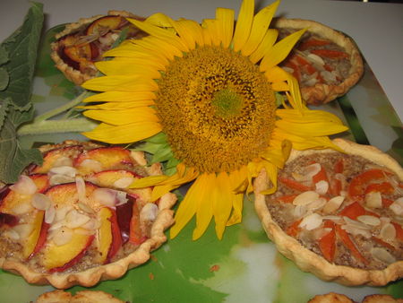 Tartelettes_abricots_et_nectarines_aux_noisettes__mond_es_030