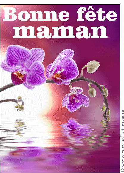 2606-Bonne fete maman avec des orchidees_maxi