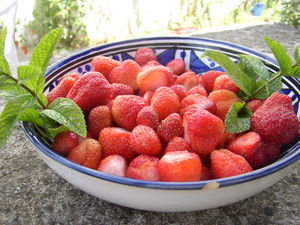 fraises_6