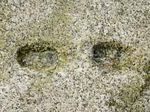 photoblog_brutdemer21