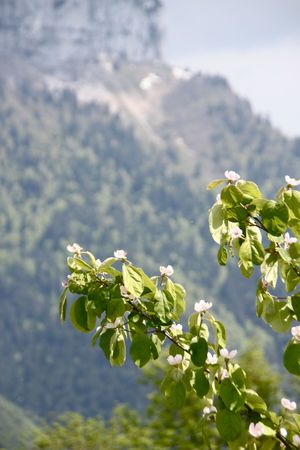 IMG_3708