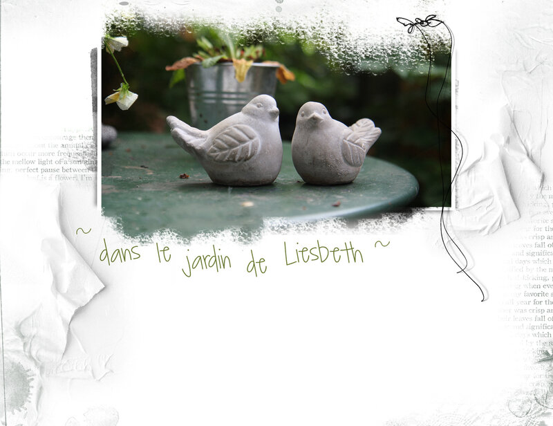 amour tendre-oiseaux Liesbethh--