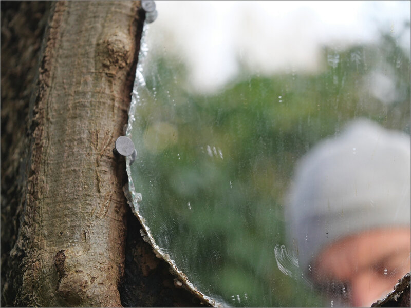 arbre miroir 4 161220
