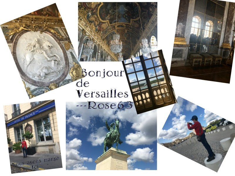25 août 2018 Versailles Rose63