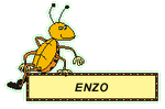 enzo_3