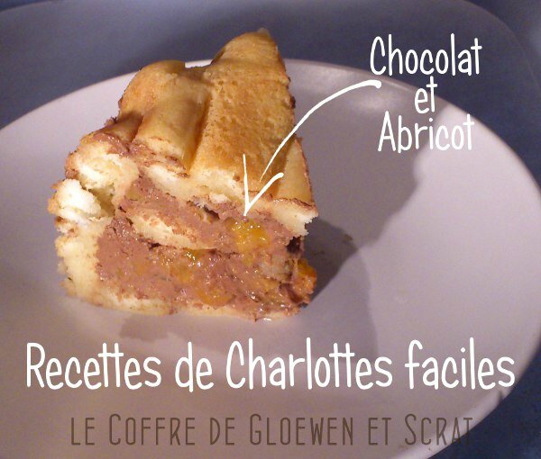 Recettes de charlottes faciles chez Gloewen et Scrat