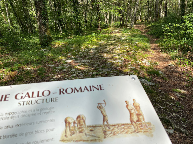 Faverolles-Site Gallo Romains-00005