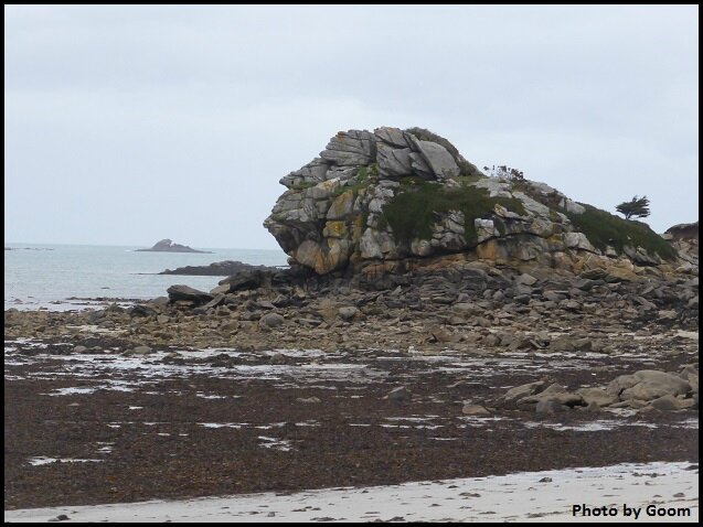 20160204_roscoff_vers_la_mer_P1080653