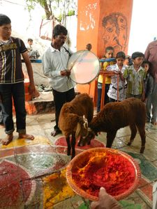 2012_08_05 Golconda fort (53)