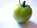 Tomate_verte