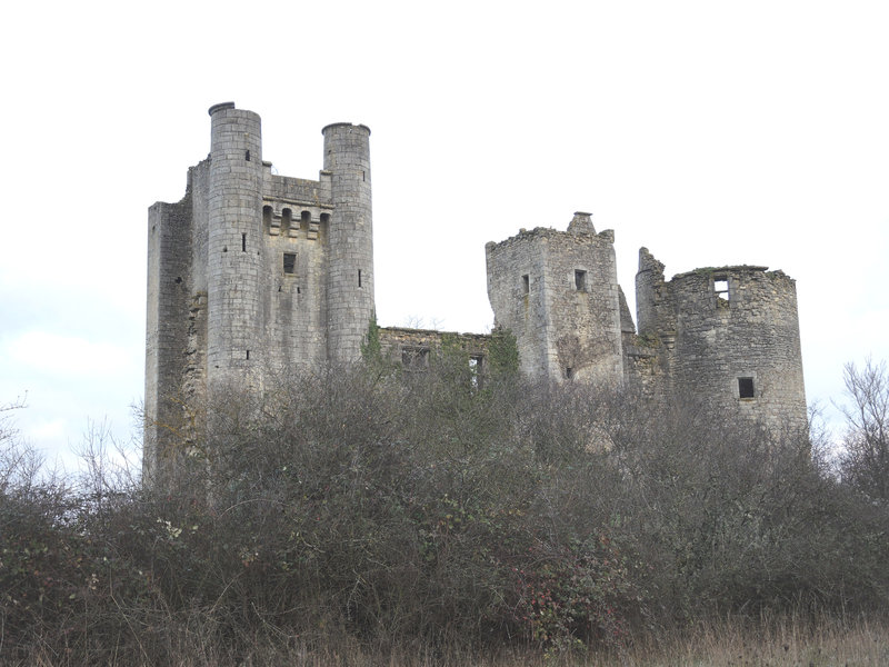 Passy-les-Tours, le château (58)