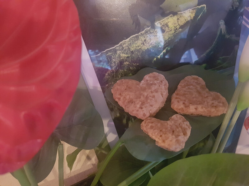 biscuits moelleux Speculoos pain d'épices 18