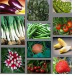 fruits-legumes-saison (Copier)