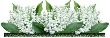 muguet