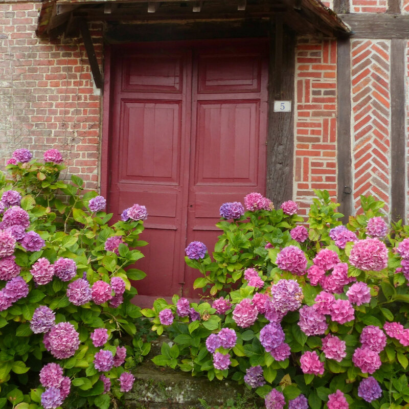 a FENETRES PORTES FLEURIES61