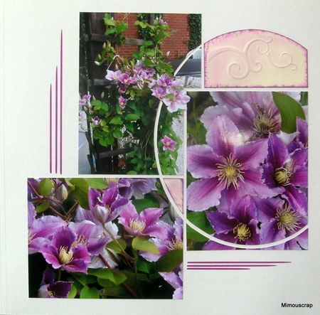 jardin_20100013