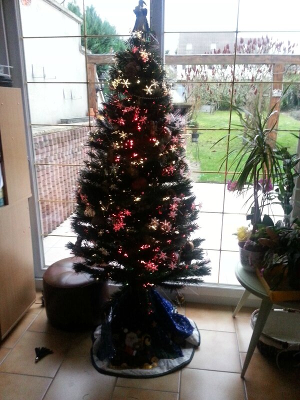 sapin sandy