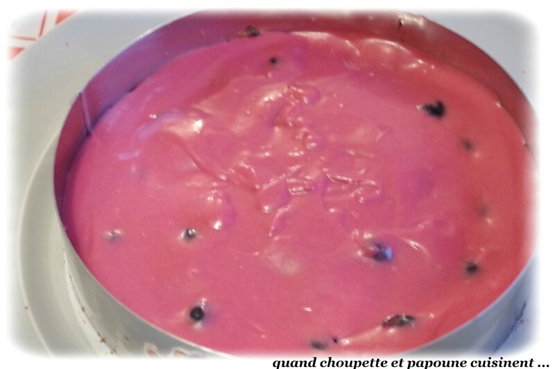 bavarois fruits rouges mousse chocolat blanc-7156