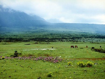 TibetLijian