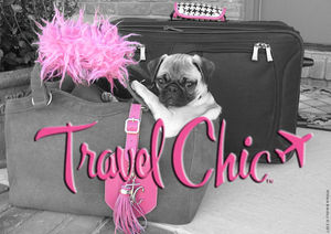 travel_chic