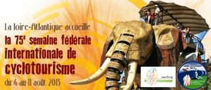 Affiche Sem Fédé Nantes 2013