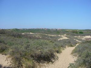 wimereux_mai_2008__30_