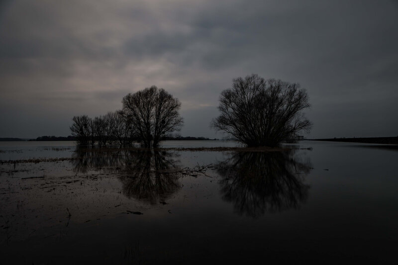 20180205_DV_IMG_3352_prise de vue sans titre