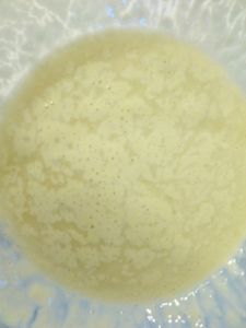 poolish