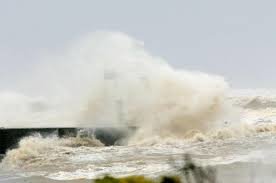 Janvier 2009 : la tempête Klaus ravage le Sud-Ouest