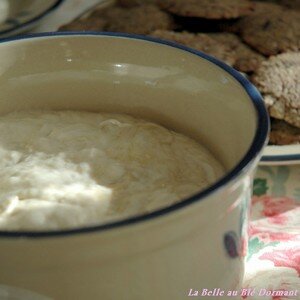 MOUSSE_RHUBARBE_2