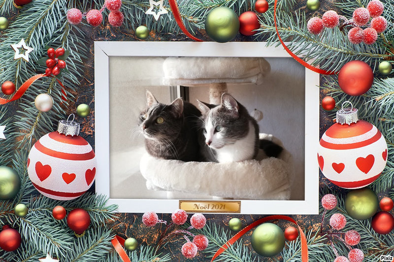 pixiz-06-12-2021-23_30_02
