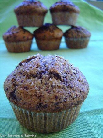 Muffins_Choco_coco_300