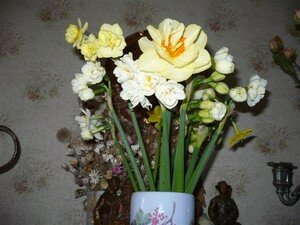 bouquet_du_jardin