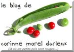 Logo blog Corinne Morel Darleux