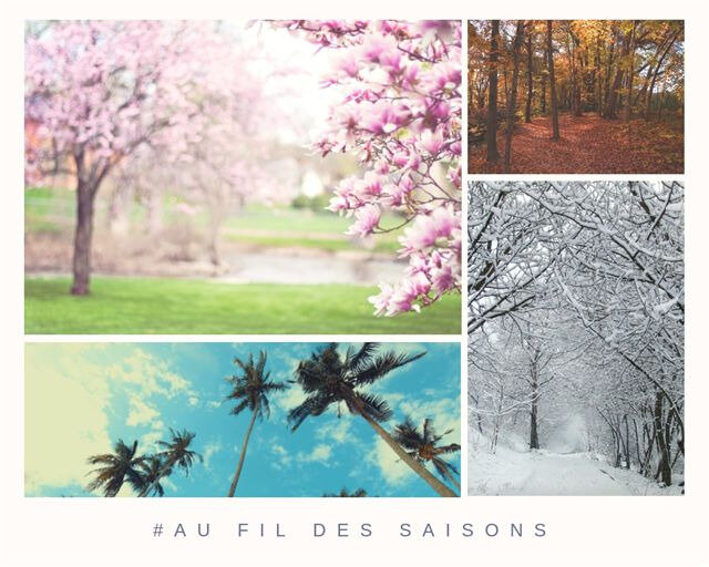 Au fil des saisons ©Kid Friendly