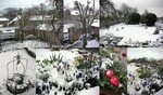 7_AVRIL_08_MOntage