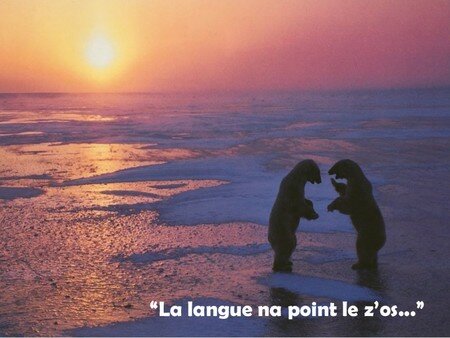 La_langue_na_point_le_zo