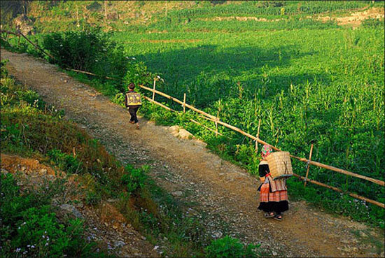 Ban-Pho-beaute-ou-highland-Bac-Ha-3