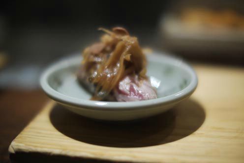 toro-oignon