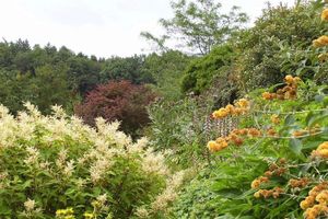 Le Mesnil-Boeuf fleurs du Cassel rendez-vous aux jardins 2013