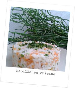 babille-en-cuisine@melange-riz-lentille-corail-coriandre-citron-confit