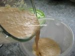 Glace au melon du jardin au mascarpone 006