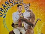 Orangina-affiche-puma-gay