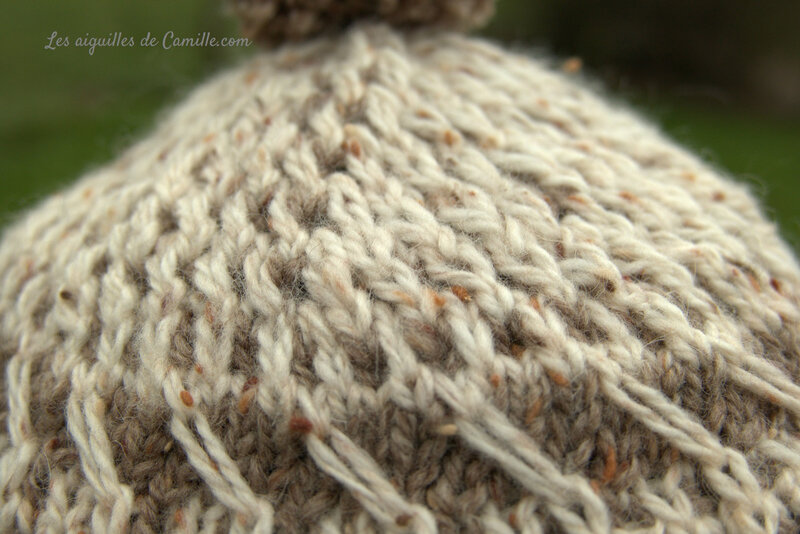 ensemble scale bonnet2