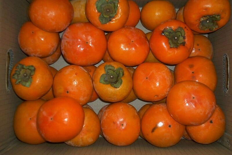 800px-Kaki_Fruit_Box