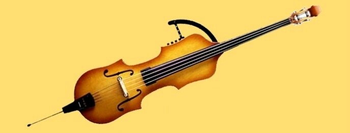 Contrebasse électrique Aria 1R