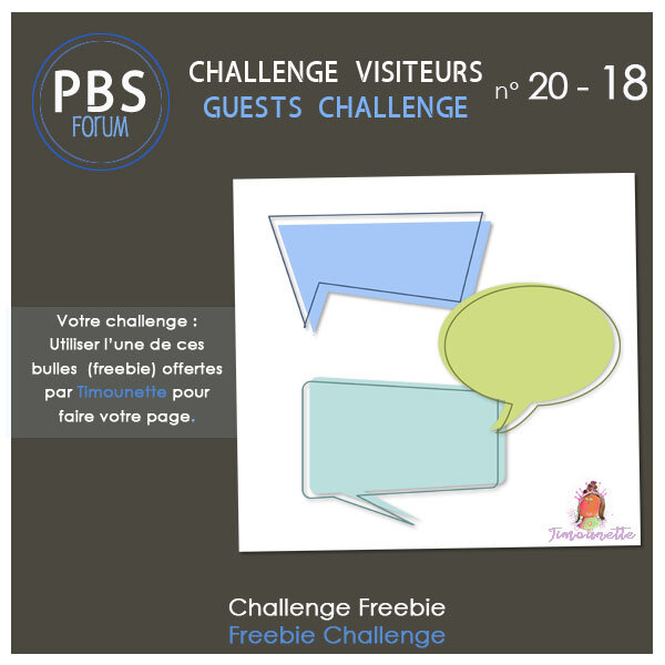 Challenge VISITEURS 20-18 - Bulles Freebie 127805296_o