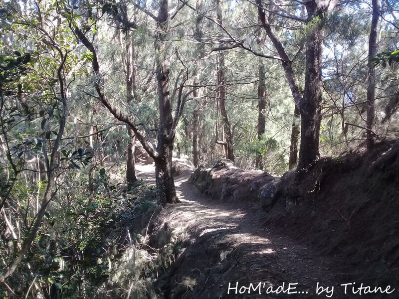 Treck Sentier scout - 12 et 13 mai 2018 038