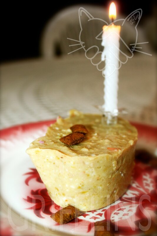 JeCuisinePourMonChat(3)
